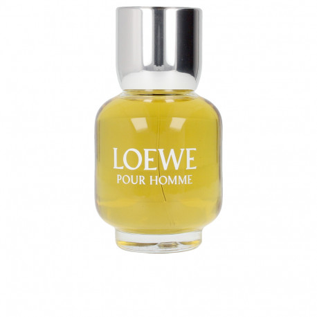 LOEWE POUR HOMME edt spray 100 ml