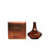 SECRET OBSESSION edp spray 100 ml
