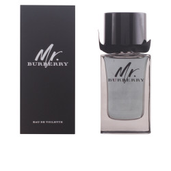 MR BURBERRY edt spray 100 ml