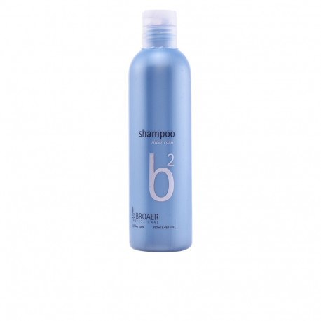 B2 silver shampoo 250 ml