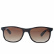 RAYBAN RB4202 6073/13 55 mm